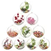 Kerstdecoraties Openbaar transparante plastic balstabels 4 cm tot 14 cm boom ornamentfeest bruiloft Clear Balls Supplies SN4103