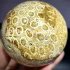 Boule de sphère d'agate de corail agatisée naturelle, artisanat, chrysanthème fossile, orbe de Jade