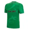 22 23 Nieuwe Red Green Wales Rugby Jersey Fans Korte Mouw Shirt Nieuw Sport Welsh Rugby Shirt Big Size S-3XL