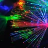 100pcs LED LED Light Christmas Decoration Dandelion Optic Fiber Fairy String Lamp Romantic Atmosphere Party Party Festival Y200603254L