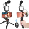 Fotografia LED Vídeo Luz de vídeo para foto DSLR SLR Kit01 Smartphone VLOG Kit de vídeo LED LED com Tripod Stand Microfone Cold Shoe
