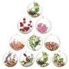 Juldekorationer ￖppnande transparent plastboll Baubles 4cm till 14 cm Tree Ornament Party Wedding Balls Supplies SN6754