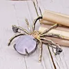 Pins Spille DreamCarnival1989 Ladies Party Fashion Pink Opal Zircon Insect Spider Coat Suit Collar Pin Accessori per le donne WP6849Pins