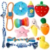 Dog Toys Tuggar gummibollbogar Squeaky Tandting Dålig tugga för valpar och små hundar AMJNQ5540280