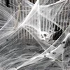 Inne impreza świąteczna dostarcza biała elastyczne pajęczyny sztuczny pająk Spider Web Halloween Dekoracja Przerażająca scena rekwizyty horror house home accessories 220826