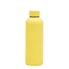 Butelki z wodą 17 uncji 500 ml 304 Stal nierdzewna matowa butelka z wodą przenośna sporta na zewnątrz Puchar Izola