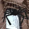 Andere feestelijke feestartikelen Rettery SpiderWeb Artificial Spider Halloween Cobris Web Terror Decoration Bar Haunted House Spiders Web Home Decor 220826