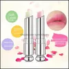 Lip Gloss Lipstick Color Cambio de color hidratante Foil de oro Natural de la herramienta de cuidado de maquillaje de esmalte duradero Drop entrega 2021 Salud B HomeIndu6817904