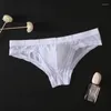 Caleçons Culottes pour hommes Slips Sous-vêtements transparents Hommes Sexy Bulge Sous-vêtements Glace Soie Homme Bikini Shorts Respirant Mince L-3XL Pantalon