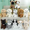 Simpatico cane di simulazione peluche Teddy Dog Shiba Inu Husky cane da pastore Bulldog Schnauzer peluche giocattolo per bambini bambola ragazza regalo269h