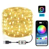 Strings thrisdar 5/10m LEVS LUZES DE FAIRA NATAL RGB TWinkle String Bluetooth App Sync Music Starry para casamento de quarto