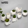 Yefine Creative Ceramic Flowerpot Planter Bonsai Garden Pots Planters Jardin Bonsaiデスク