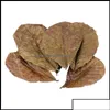 Autres poissons d'aquarium Otalmond Leaf nettoyage de ses aquariums aliment pour animaux de compagnie Natura Drop Livraison 2021 MJBAG DHSID