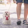 Colliers de chien petit harnais de chiot avec coche à archet ajusté en maille pour chiens pour chiens de fête de fête parfaite