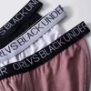 Underpants 3pcs/lot sexy 속옷 남자 브리프 세트 모달 게이 남자 슬립 Hombre Cuecas 남성 팬티 계집애가 낮은 Wasit Mens Underware