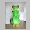 Vente directe d'usine costume de mascotte d'écureuil vert adulte costume d'écureuil costume d'animal à vendre