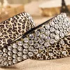 Cinture Moda con strass pieno di diamanti Pelle sexy con stampa leopardata per donna Cintura di lusso con fibbia ad ardiglione Cinturino selvaggio di qualità donna