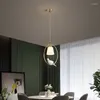 Hanger lampen Minimalistisch Luminaire Licht voor levende eetkamer Slaapkamer LED NOORDISCHE Decoratie eenvoud FICTURE Modern design