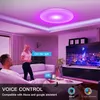 CNSUNWAY LED Sufit Lightions Flush Mount 12-cal 30 W inteligentne lampki sufitowe RGB Zmiana kolorów Bluetooth Wi-Fi Control 2700K-6500K Dimmable Sync