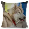 Yastık yastığı şirin sibirya husky kapak kanepe ev dekor Pet köpek hayvan yastık kılıfı 45 45cm polyester kasa
