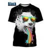 남성용 T 셔츠 귀여운 동물 팬더 프린트 3D 프린팅 티셔츠 여름 캐주얼 패션 재미있는 거리 성격 트렌드 탑 보석 둥근 목 짧은