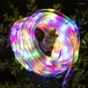 Cordes 5/10/20M Super lumineux Led corde fée lumière batterie/USB alimenté PVC Tube guirlande de noël maison jardin arbre fête guirlande