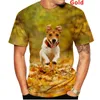 Erkek Tişörtleri T-Shirts Moda 3D Sevimli Hayvan Homme Boxer Dog Street Komik Pet Pet T-Shirt Köpek Yavru S-4XL