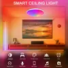 CNSUNWAY LED LIGHTURES LIGHTURES MONTO FLUSH DE 12 pulgadas 30 W Luces de techo inteligentes RGB Cambio de Bluetooth Wifi App Control 2700K-6500K Sincronización negativa