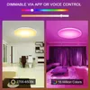 CNSUNWAY LED Ceiling Light Fixtures Flush Mount 12Inch 30W Smart Ceiling Lights RGB Color Changing Bluetooth WiFi App Control 2700K-6500K Dimmable Sync