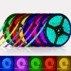 Strips DC 12V 2835 Neon LED Strip RGB Light Diode Ribbon Waterproof 5M 60LED/M For Room Decorated Festival Holiday Lamp