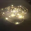 Cordes LED fil de cuivre guirlandes lumineuses à piles perle fée éclairage de vacances pour mariage maison fête décorations de noël