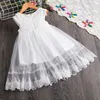 Flower Girls Dresses Sleeveless Wedding Evening Ball Gown Tutu Lace Floral Kids for Girls Clothing