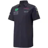 Uniforme de l'équipe F1 à manches courtes pour hommes, T-shirt respirant à manches courtes de la nouvelle série de course d'été