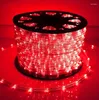 Stringhe LED impermeabili Strisce luminose a corda AC220V 32 led / M Stringa tubo scintillante fata per il giardino della festa nuziale di Natale