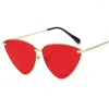 Солнцезащитные очки 2022 Женщины моды окрашивают роскошные плоские кошачьи глаза пурпурные элегантные негабаритные солнцезащитные очки для UV400