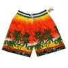 Shorts pour hommes Plage Hommes Mer Style Vacances Décontracté Mode Noix de coco