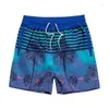 Men's Shorts Quick Dry Men's Swimming Trunks Beach Board Man Swimwear Beachwear With Pockets Holiday Hawaii Short Swimsuit