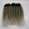 Ombre Grey Color Link Anello Hair Curly Micro Loop Human Hair Extensions 200gs 200s