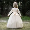 Девушка платья принцесса шампанское кружевное платье на день рождения свадебное плать