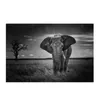 Wall Art Wild Animals African Elephant Canvas Painting Black and White Posters and Prints Wall Picture Living Room Cuadros Decor