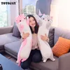 Peluş Bebekler Sevimli Yumuşak Uzun Kedi Erkek Arkadaş Yastığı Oyuncakları Dolgulu Duraklama Ofis Şekerleme Yastık Hediye Doll Çocuklar İçin Kızlar 45110cm 220830