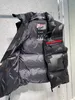 Winter 2022 Knappe Down Vest Mode Camo Thermische Vesten Hoge Kwaliteit Rits Kraag Ontwerp Luxe Top Heren Vest2414