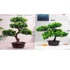 Flores decorativas Bonsai Tree Pot Plants Artificial Simulation Simulation Pots Ornamento Office Home Office