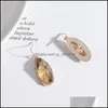 Charme Mode Acrylique Abalone Shell Papier Charms Boucles D'oreilles Strass Or Couleur Dangle Brincos Pendientes Marque Bijoux Femmes Drop Del Dhfu9