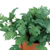 Fleurs d￩coratives pu bonsa￯ plante succulente faux accessoires de maison d￩coration d￩coration fleur festival de bureau de verrouillage artificiel
