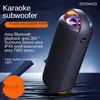 Portabla högtalare Portabla 20W Wireless Bluetooth Outdoor Subwoofer stöder karaoke -bilhögtalare T220831