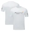 T-Shirt F1 pour hommes, équipe de course de formule 1, sport d'été, respirant, séchage rapide, personnalisé, nouvelle collection 2022