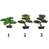 Flores decorativas Bonsai Tree Pot Plants Artificial Simulation Simulation Pots Ornamento Office Home Office