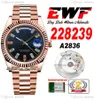 EWF Day Date 228235 A2836 Montre automatique pour homme 40 Or rose cannelé Noir Coros Baguette Cadran diamant Bracelet présidentiel Même carte série Super Edition Puretime E5