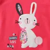 Automne Enfants T-Shirts Vêtements Brodé Lapin Lapin Sweat À Capuche Pour Enfants Filles Dessin Animé Manches Longues Col Rond Pull M4249